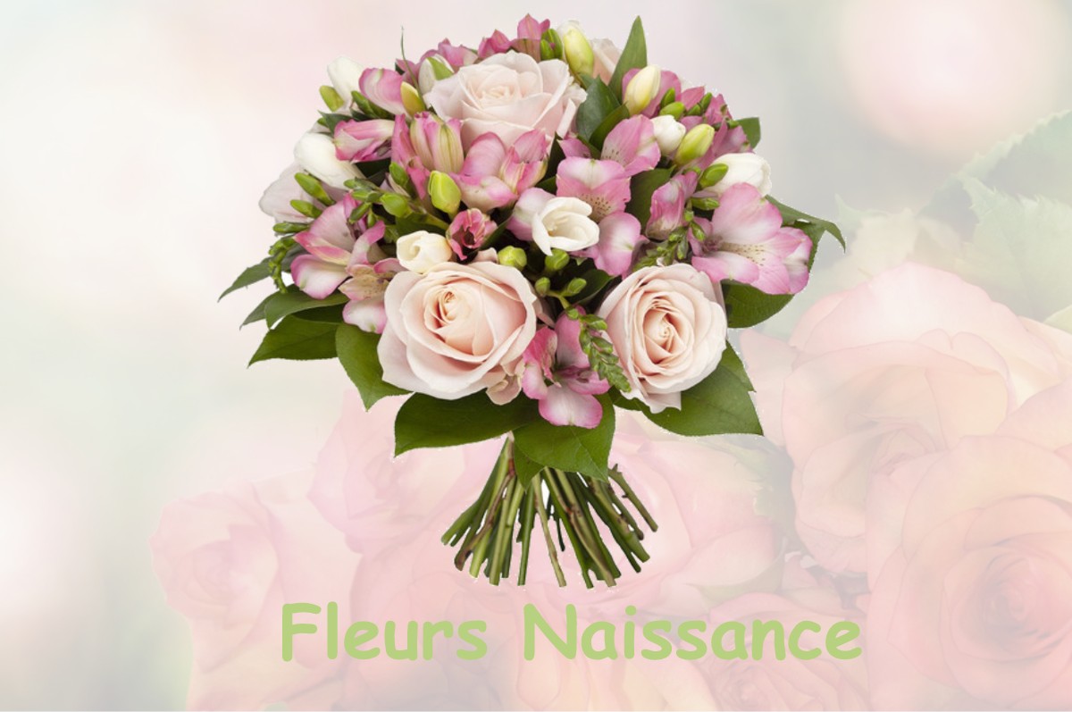 fleurs naissance CATIGNY