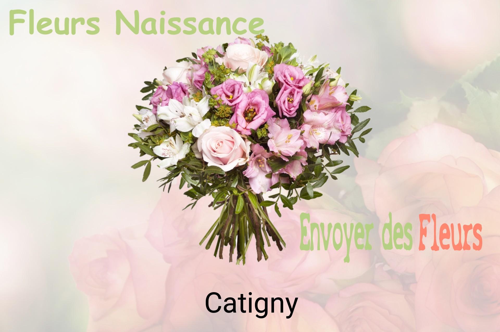 Bouquet de fleurs de naissance livré à Catigny