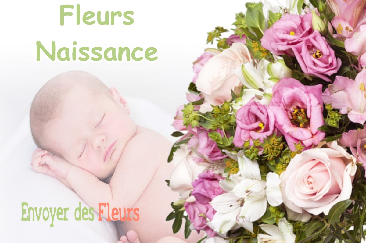 lIVRAISON FLEURS NAISSANCE à CATIGNY